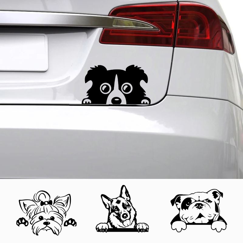 Aksesori Mobil Stiker Lucu Anj - Laptop Accessories Name ulasan dan harga